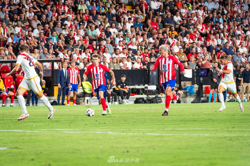 在她的职业 在她的职业